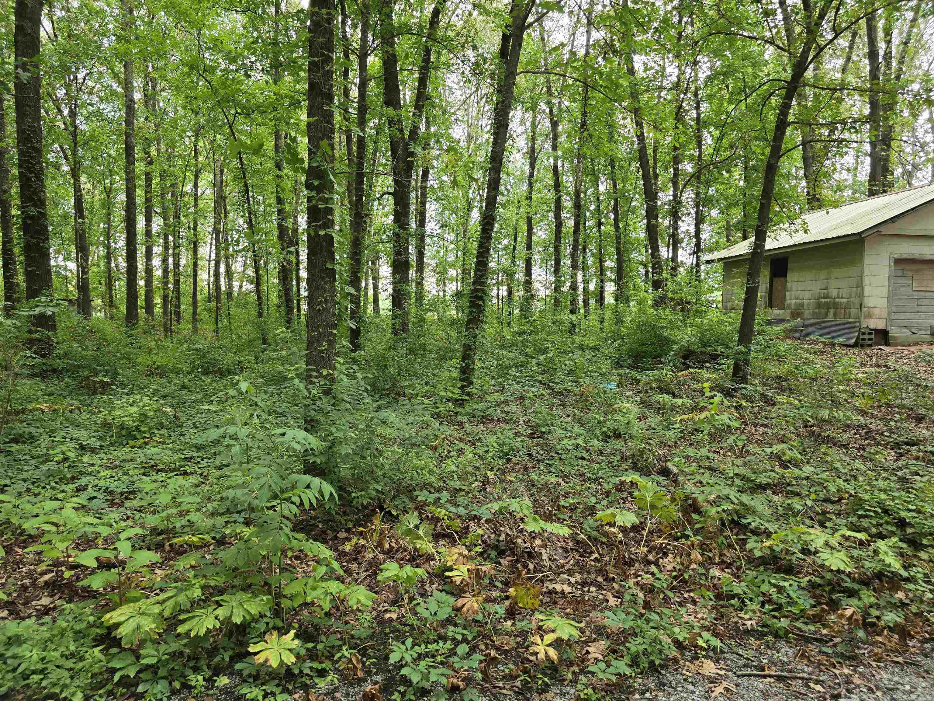 281 Gautney Ln  Lonoke, AR