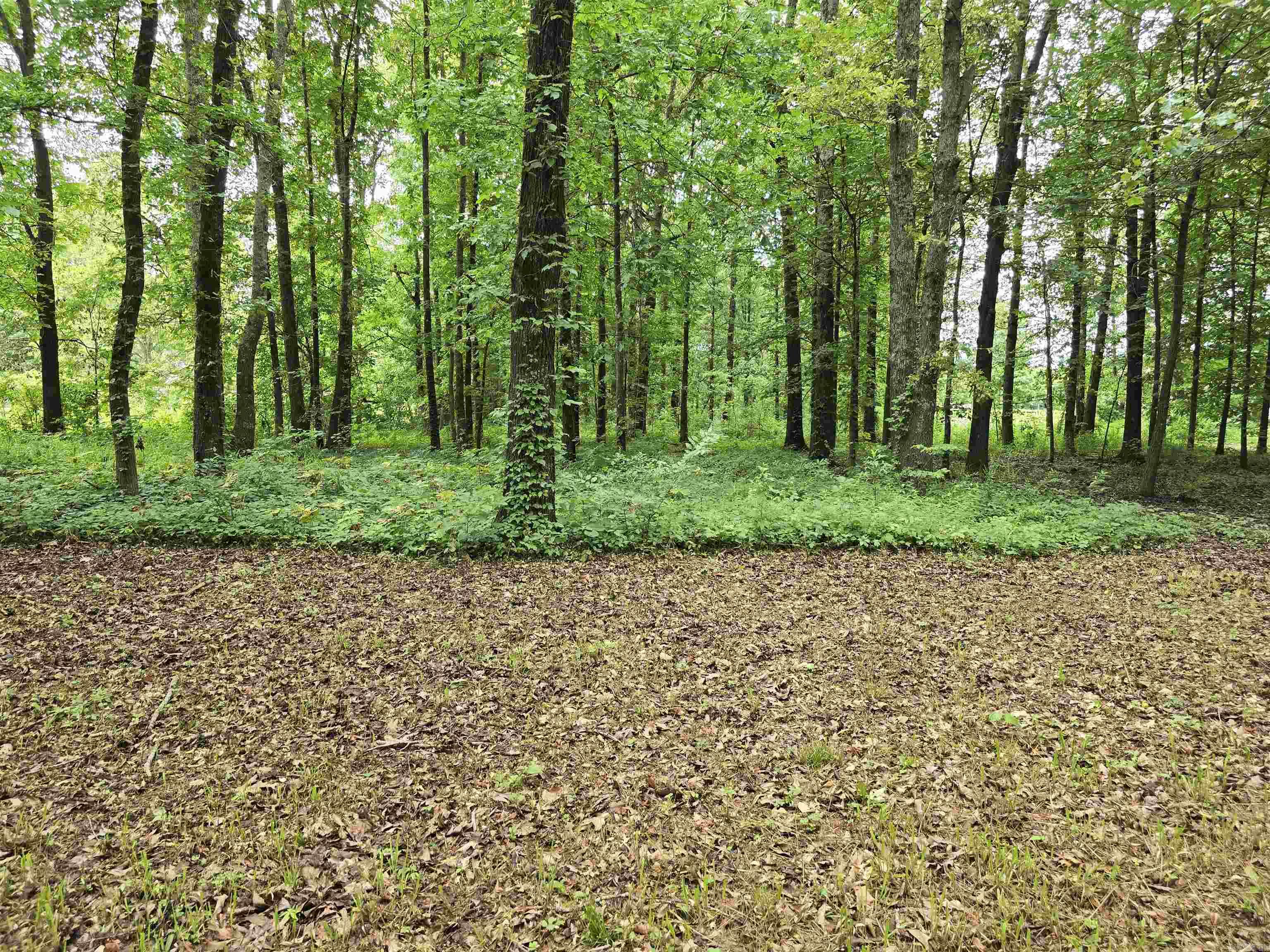 281 Gautney Ln  Lonoke, AR