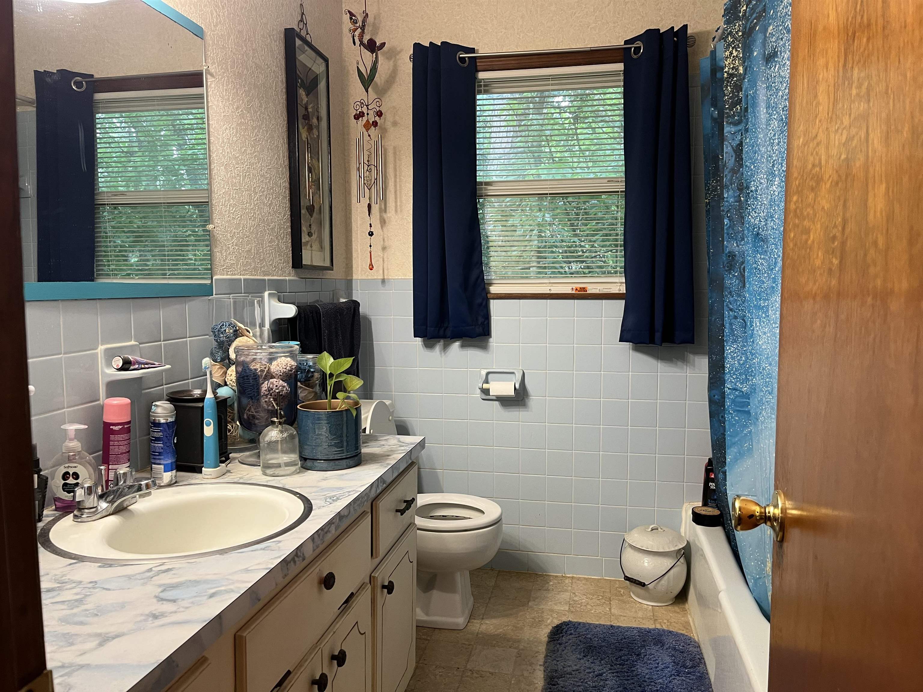 1702 E Spring Drive  Horseshoe Bend, AR