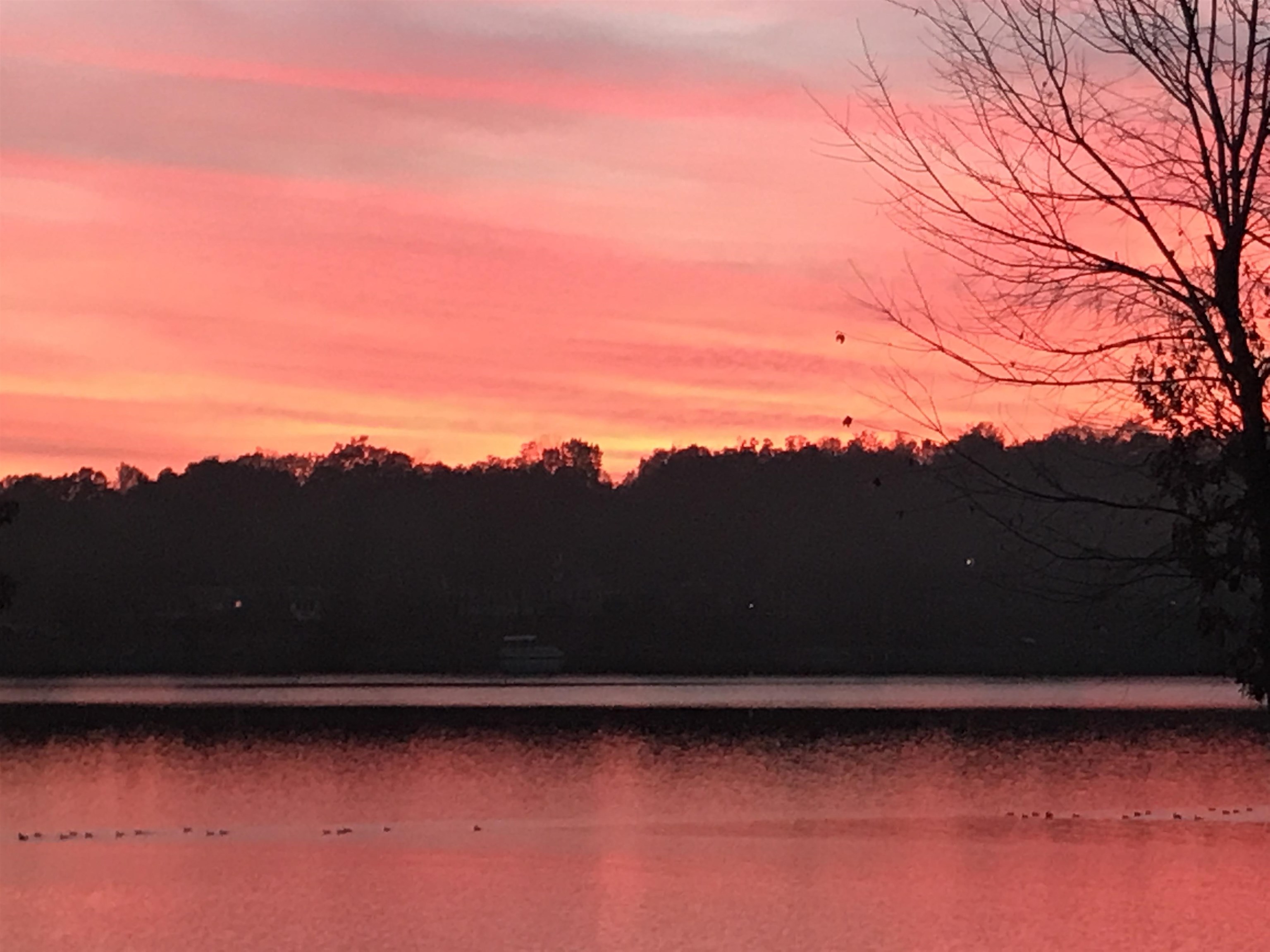 1803 Fairwater Circle  Horseshoe Bend, AR