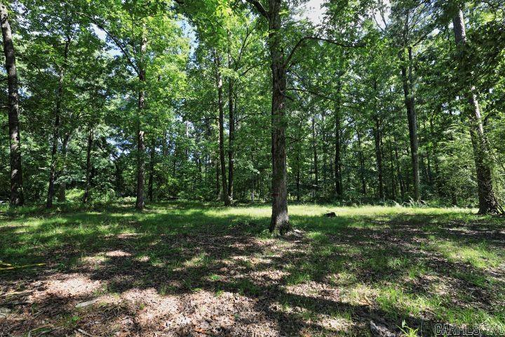 193 Sycamore Sheridan, AR 72150