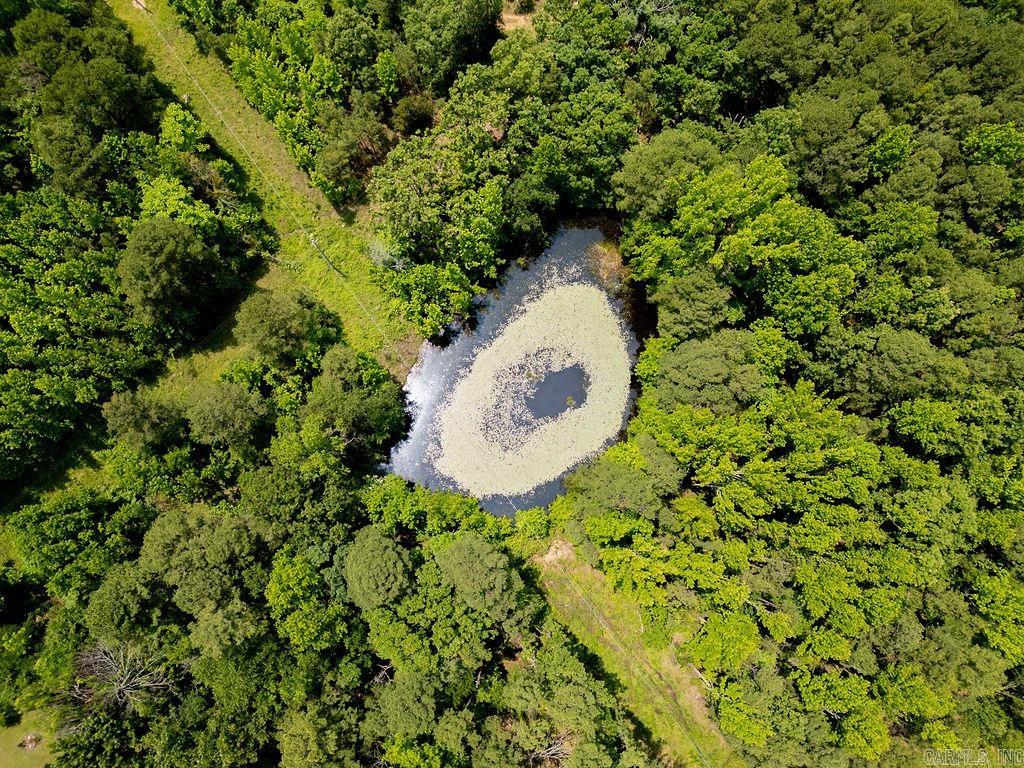 246 Kirkendoll Rd  Clinton, AR