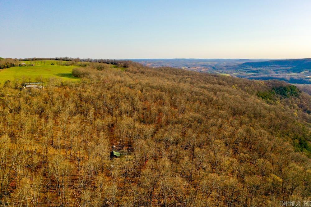 1169 liberty  Leslie, AR