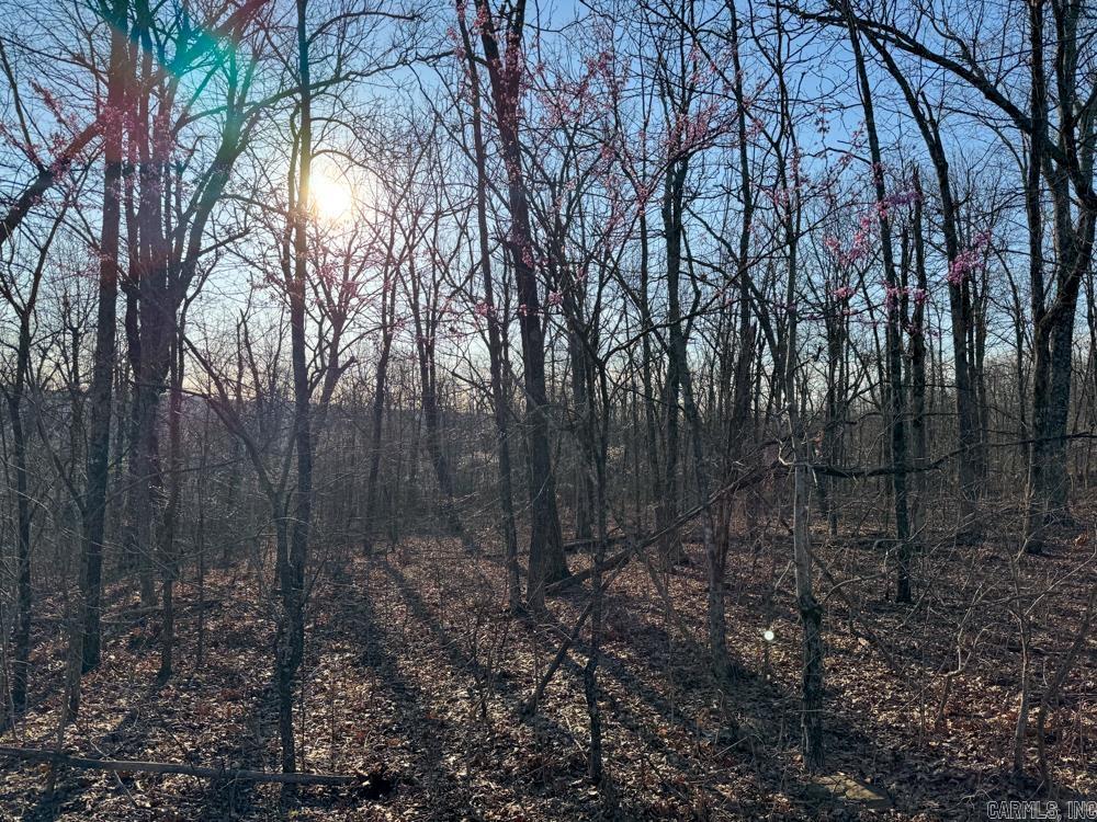 1169 liberty  Leslie, AR