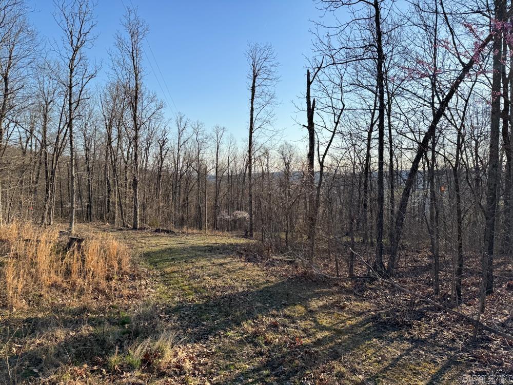 1169 liberty  Leslie, AR