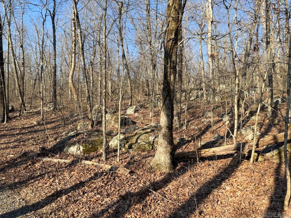 1169 liberty  Leslie, AR