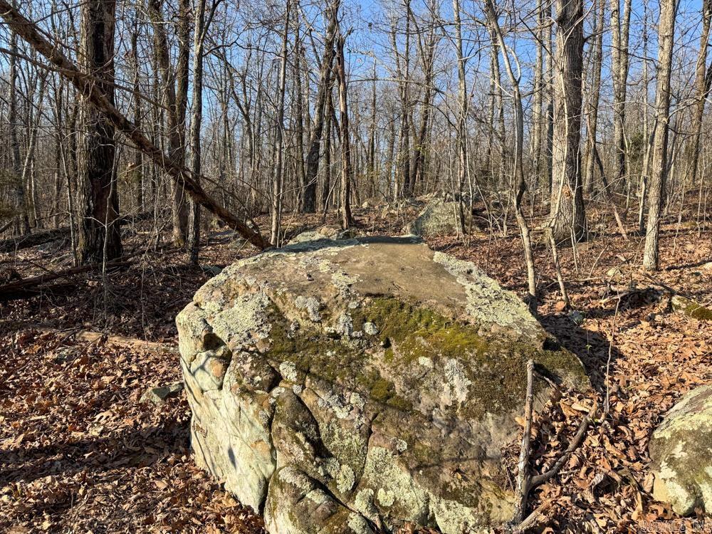 1169 liberty  Leslie, AR