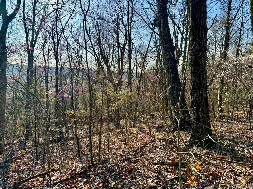 1169 liberty  Leslie, AR