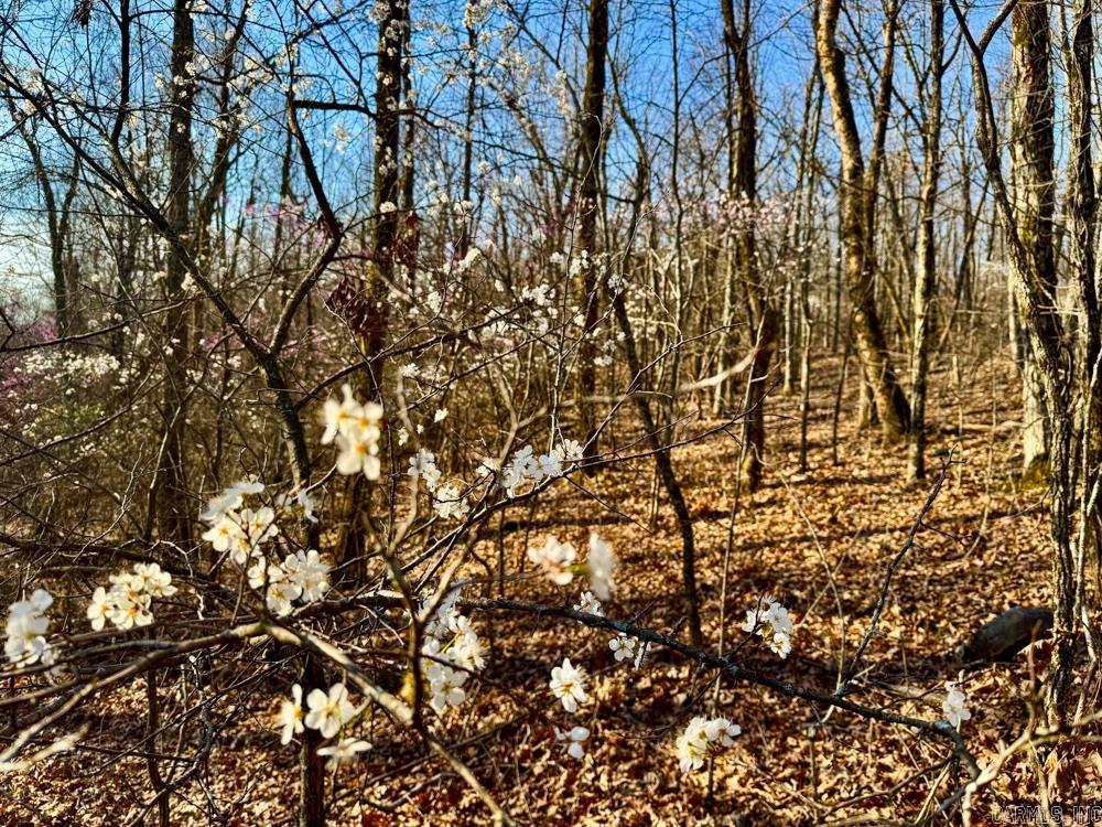 1169 liberty  Leslie, AR