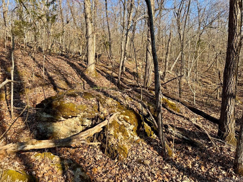 1169 liberty  Leslie, AR