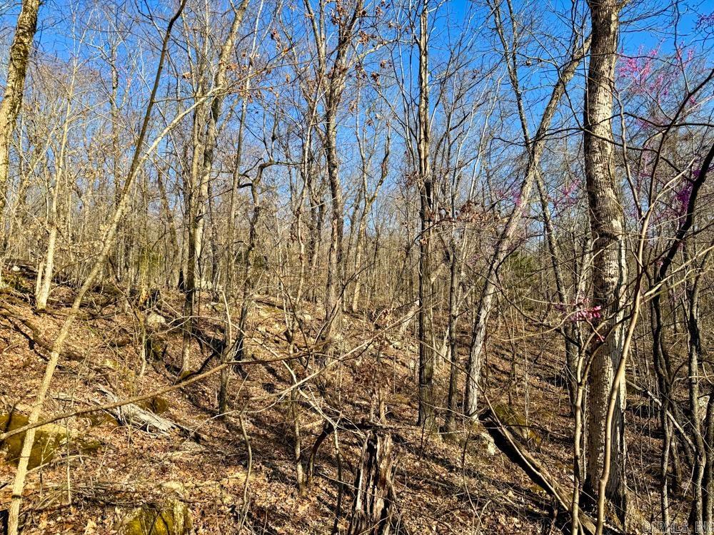 1169 liberty  Leslie, AR