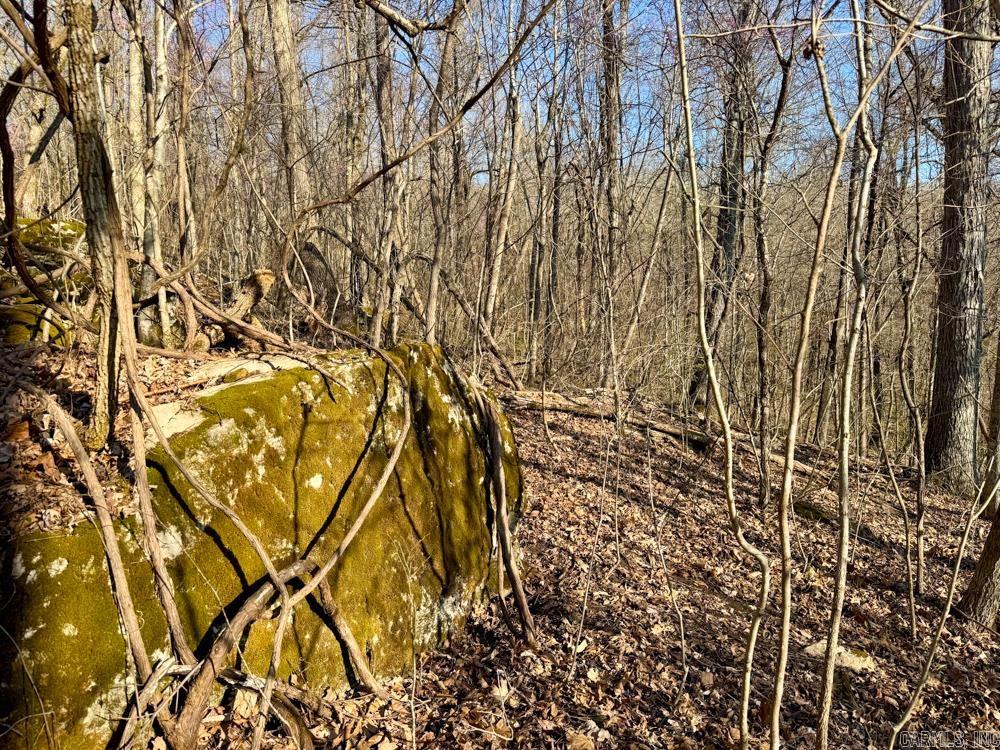 1169 liberty  Leslie, AR