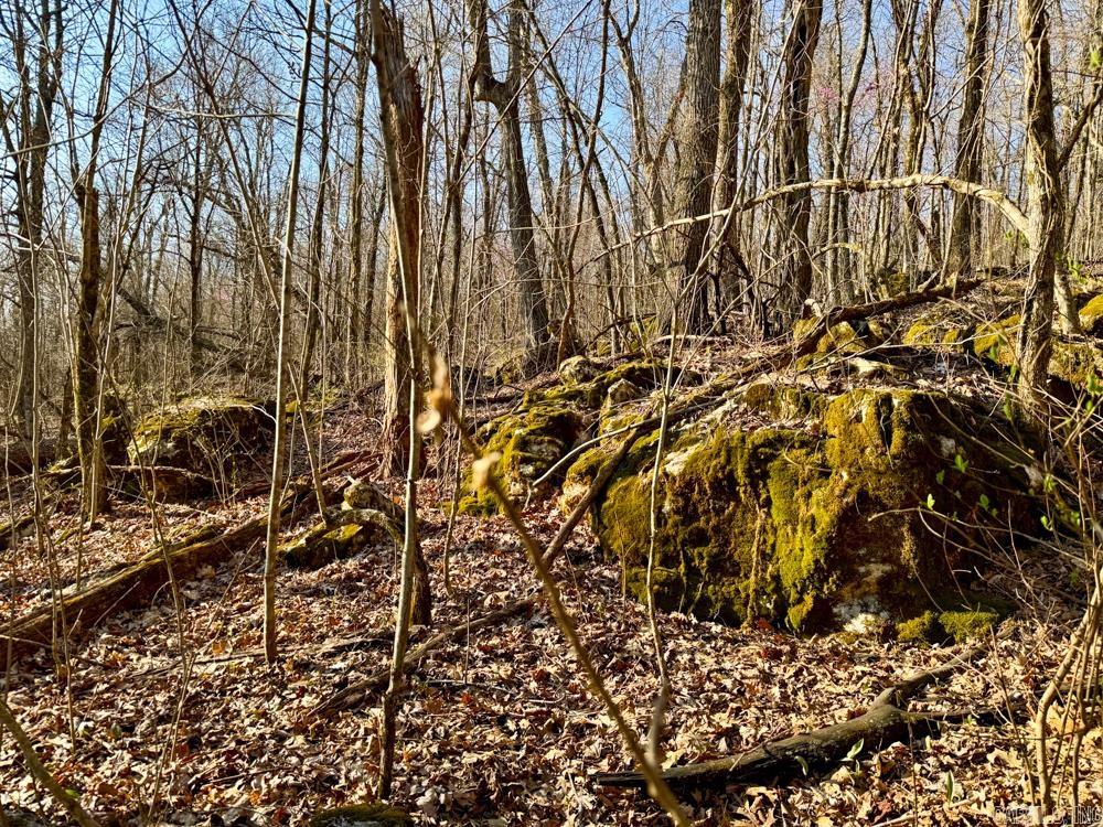 1169 liberty  Leslie, AR