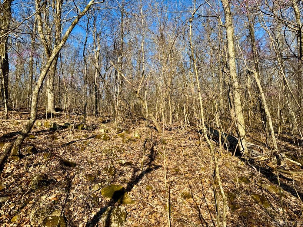 1169 liberty  Leslie, AR