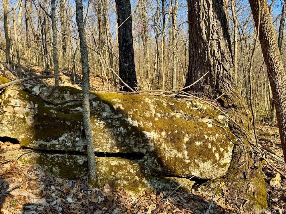 1169 liberty  Leslie, AR