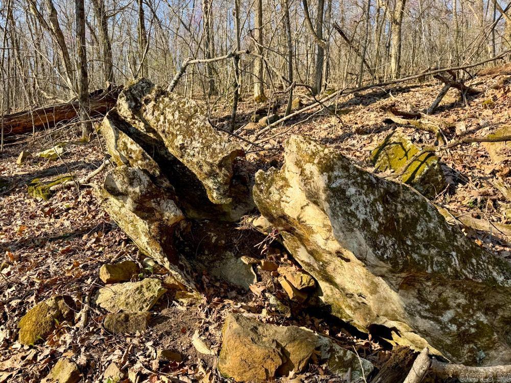 1169 liberty  Leslie, AR