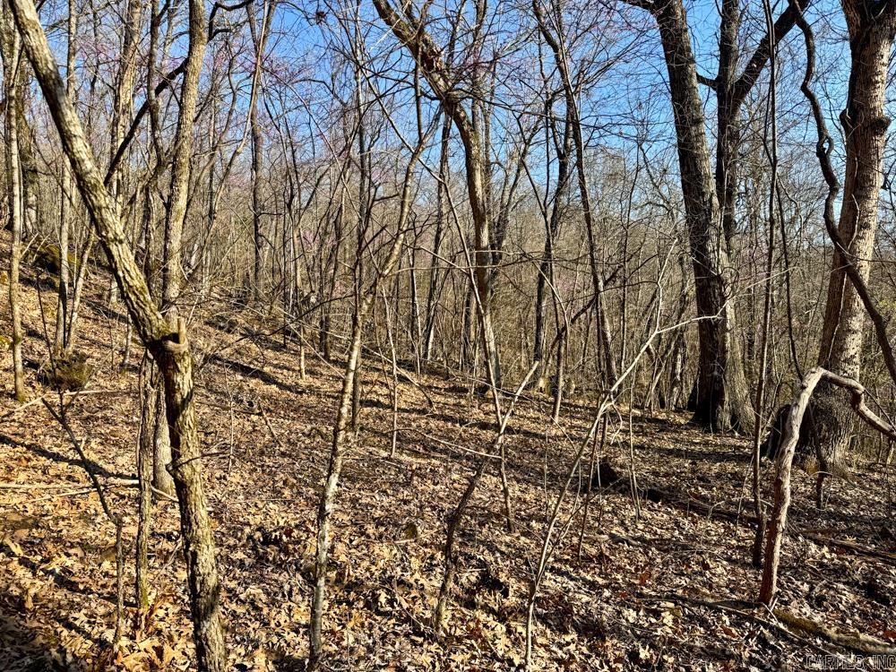 1169 liberty  Leslie, AR