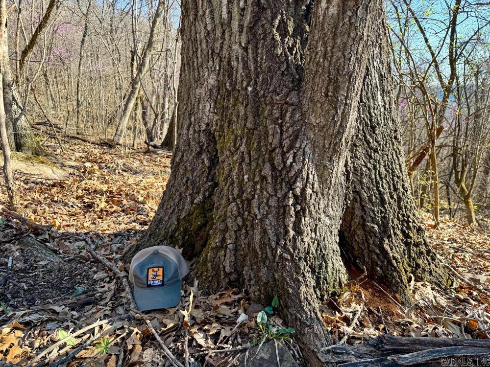 1169 liberty  Leslie, AR