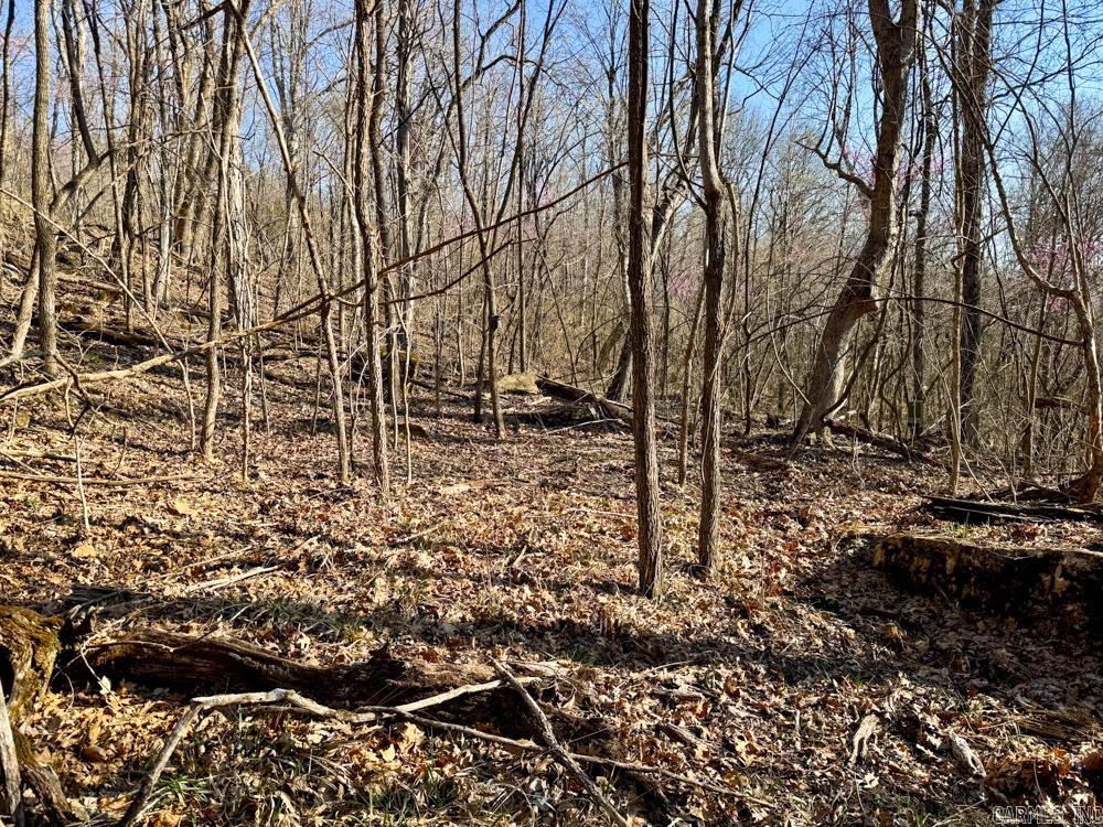 1169 liberty  Leslie, AR