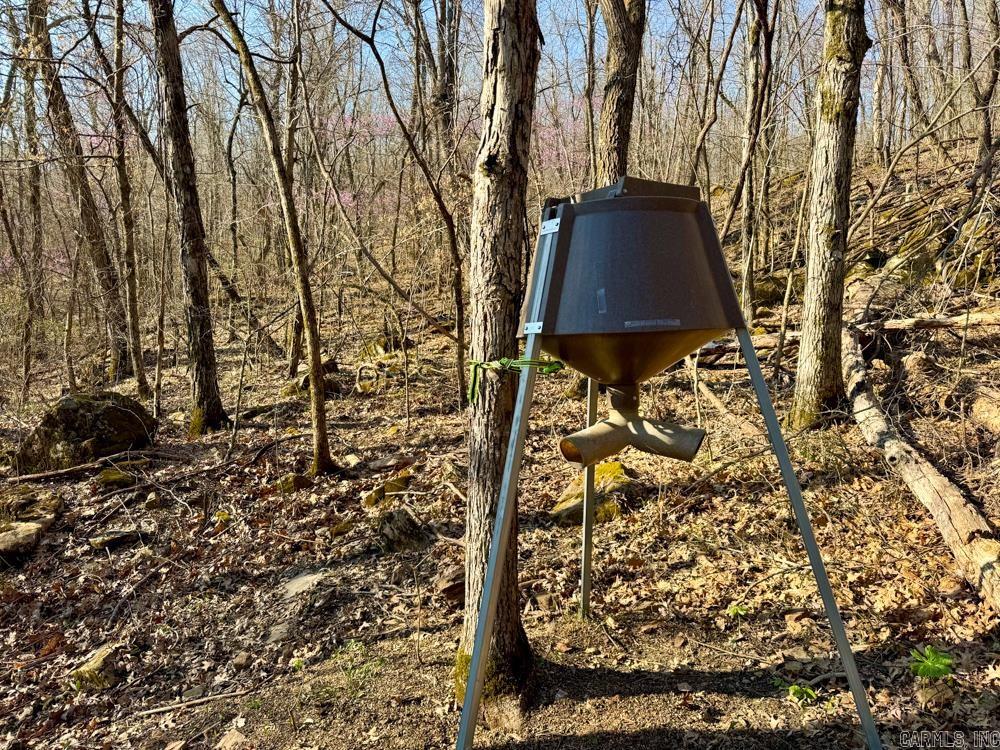 1169 liberty  Leslie, AR