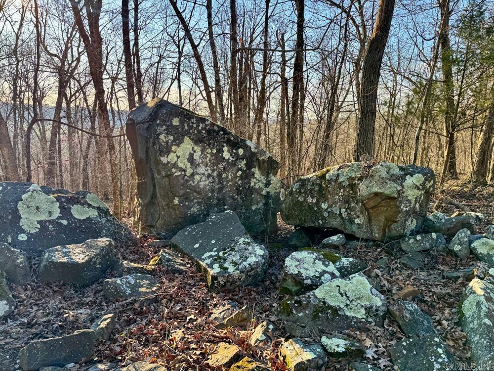 1169 liberty  Leslie, AR