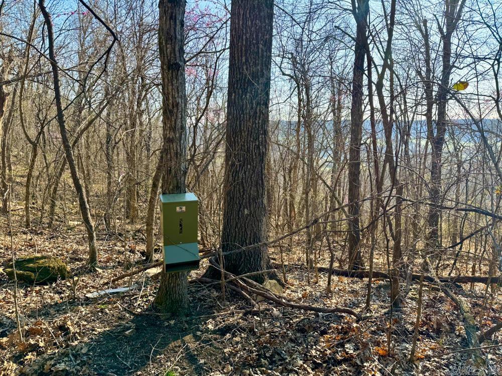 1169 liberty  Leslie, AR