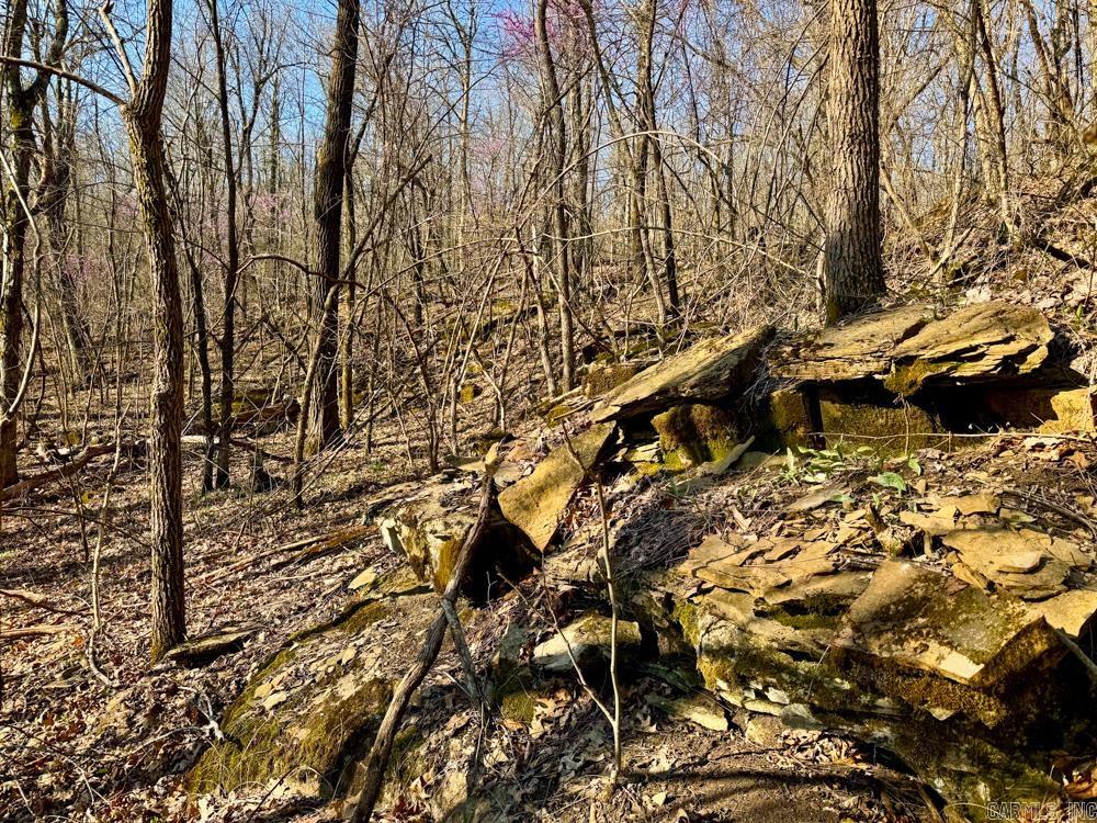 1169 liberty  Leslie, AR