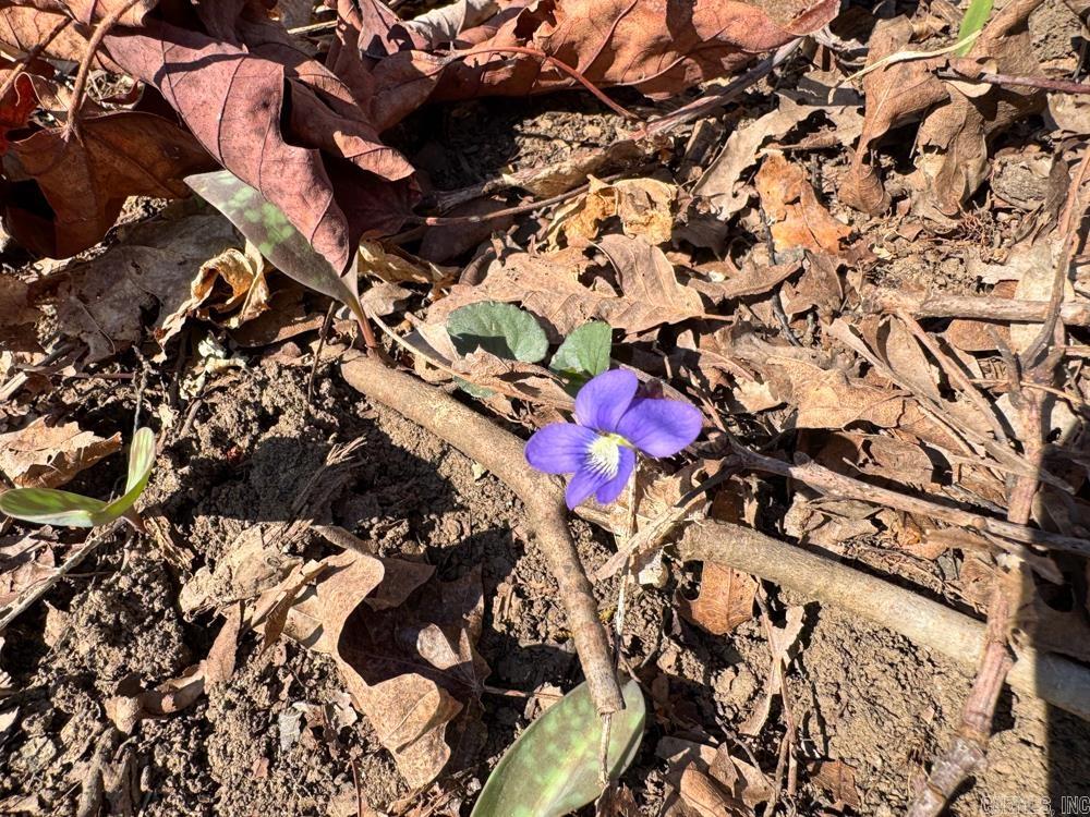 1169 liberty  Leslie, AR