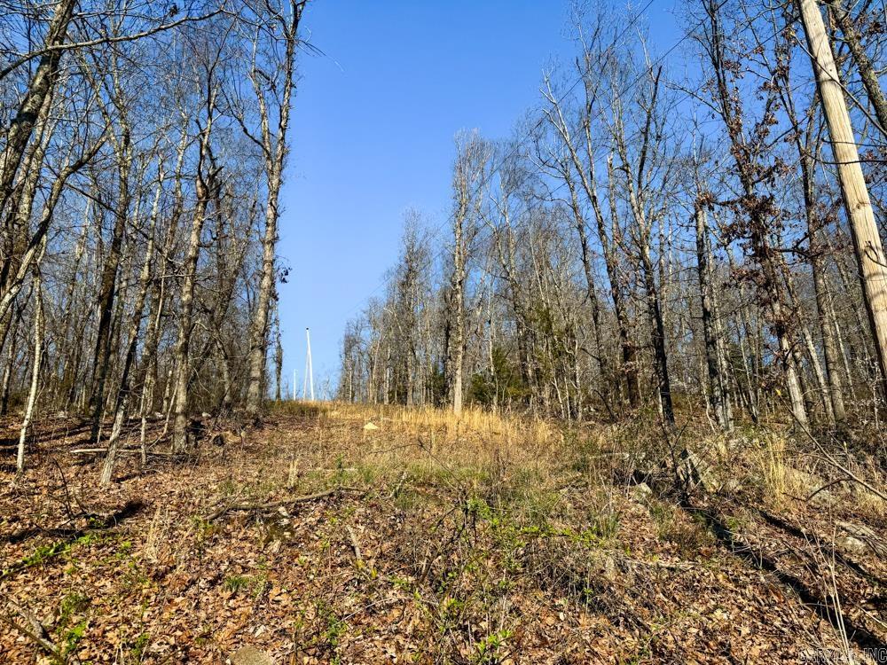 1169 liberty  Leslie, AR