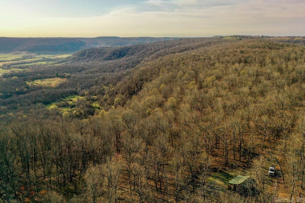 1169 liberty  Leslie, AR