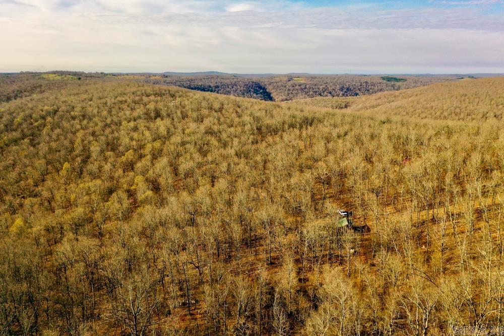 1169 liberty  Leslie, AR