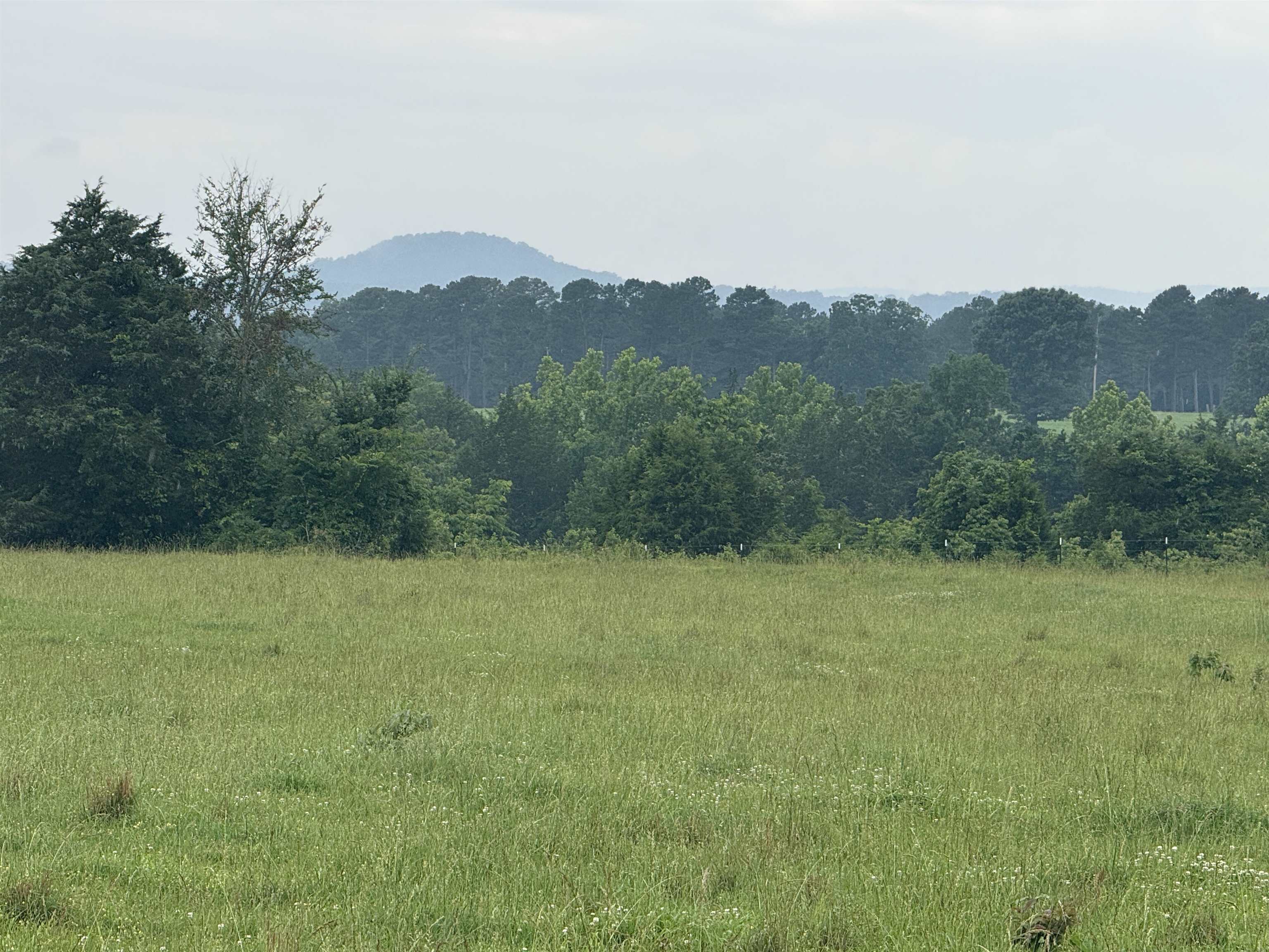 21 Allure Lane  Mountain View, AR