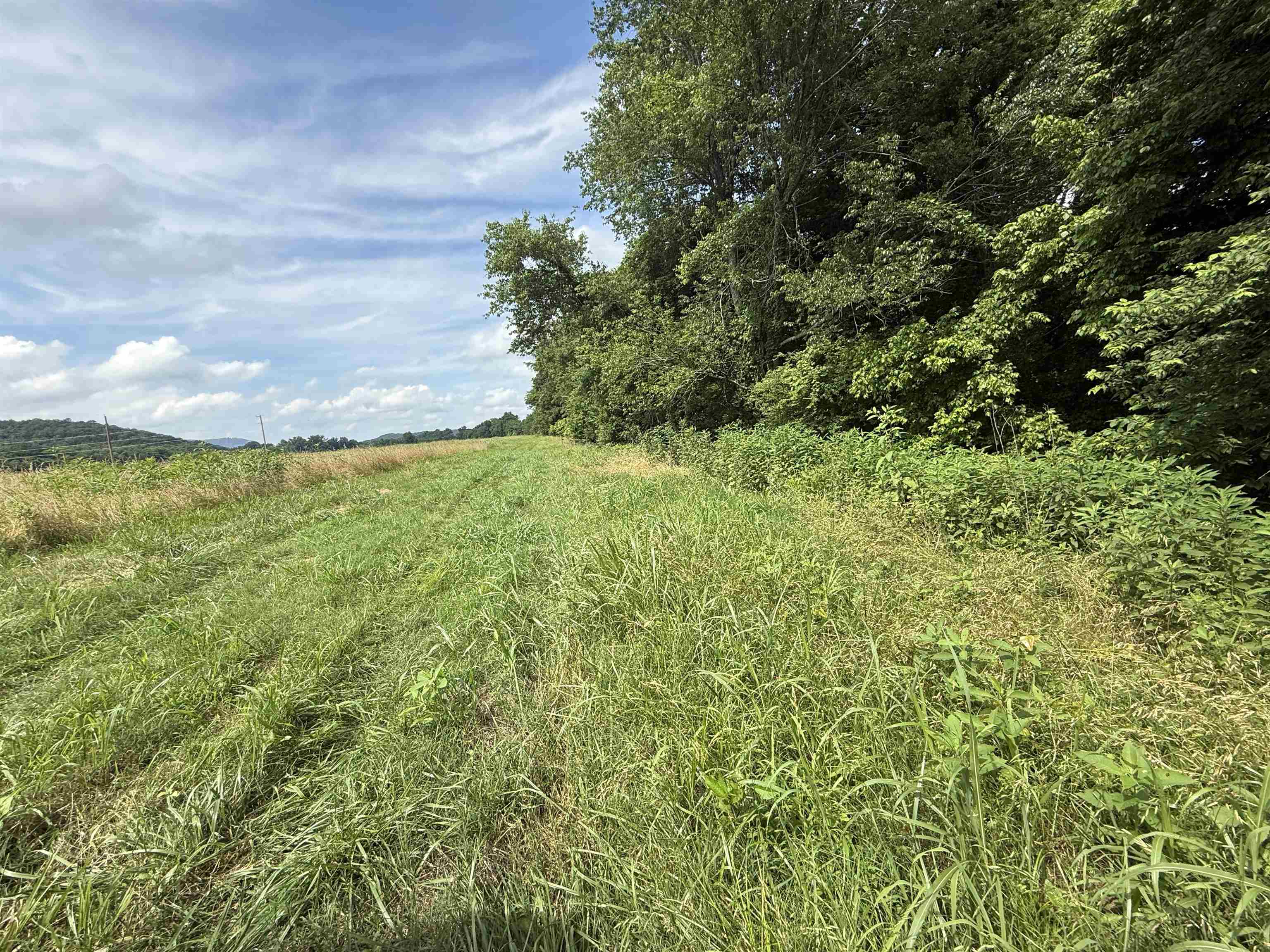 21 Allure Lane  Mountain View, AR