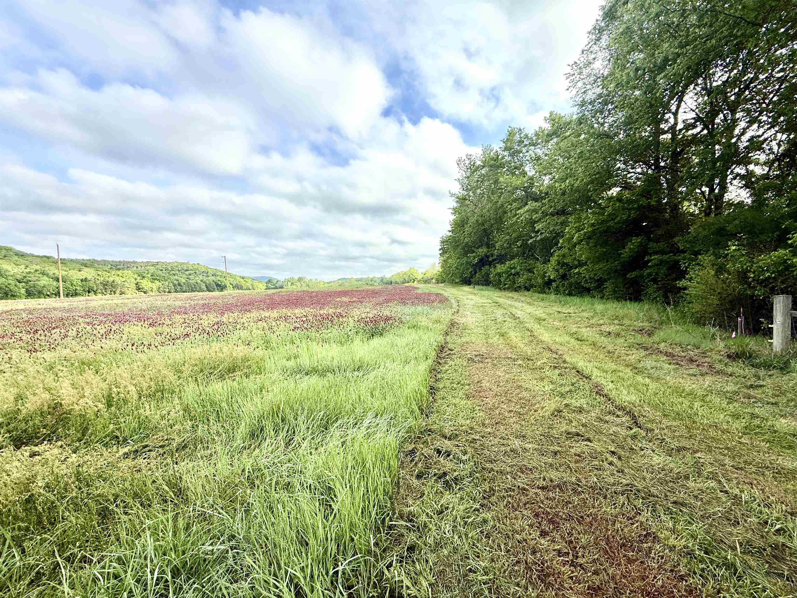 21 Allure Lane  Mountain View, AR