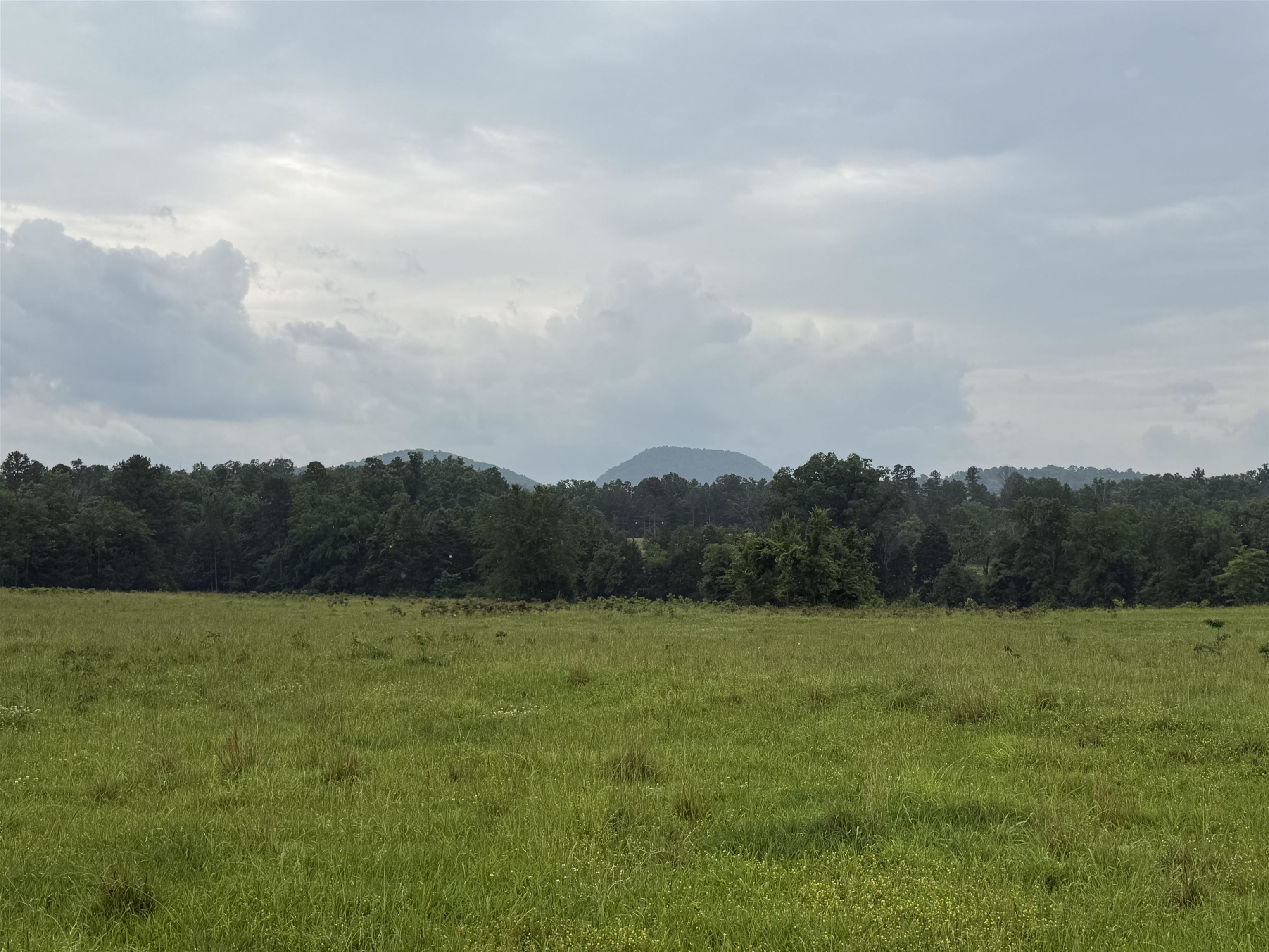 21 Allure Lane  Mountain View, AR