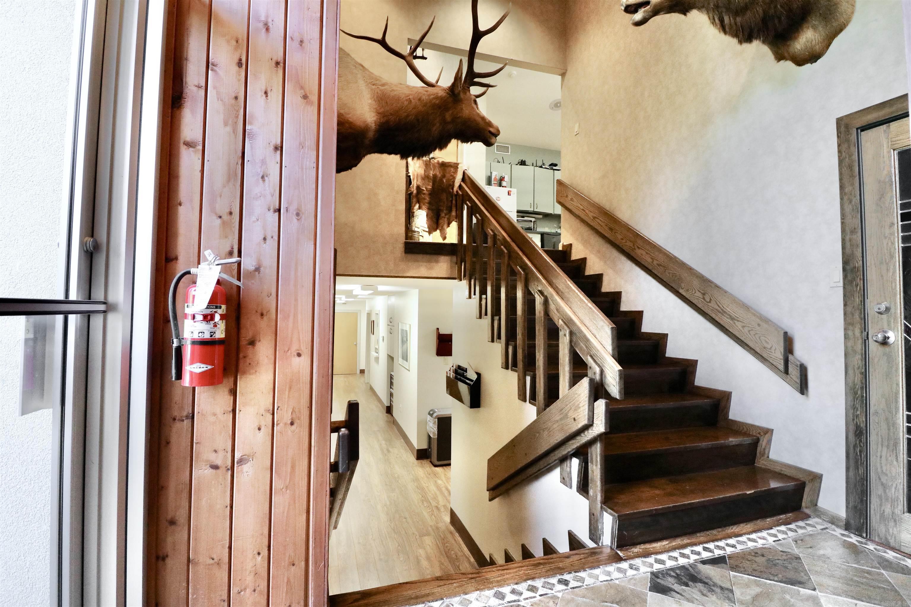 906 Osler Drive  Jonesboro, AR