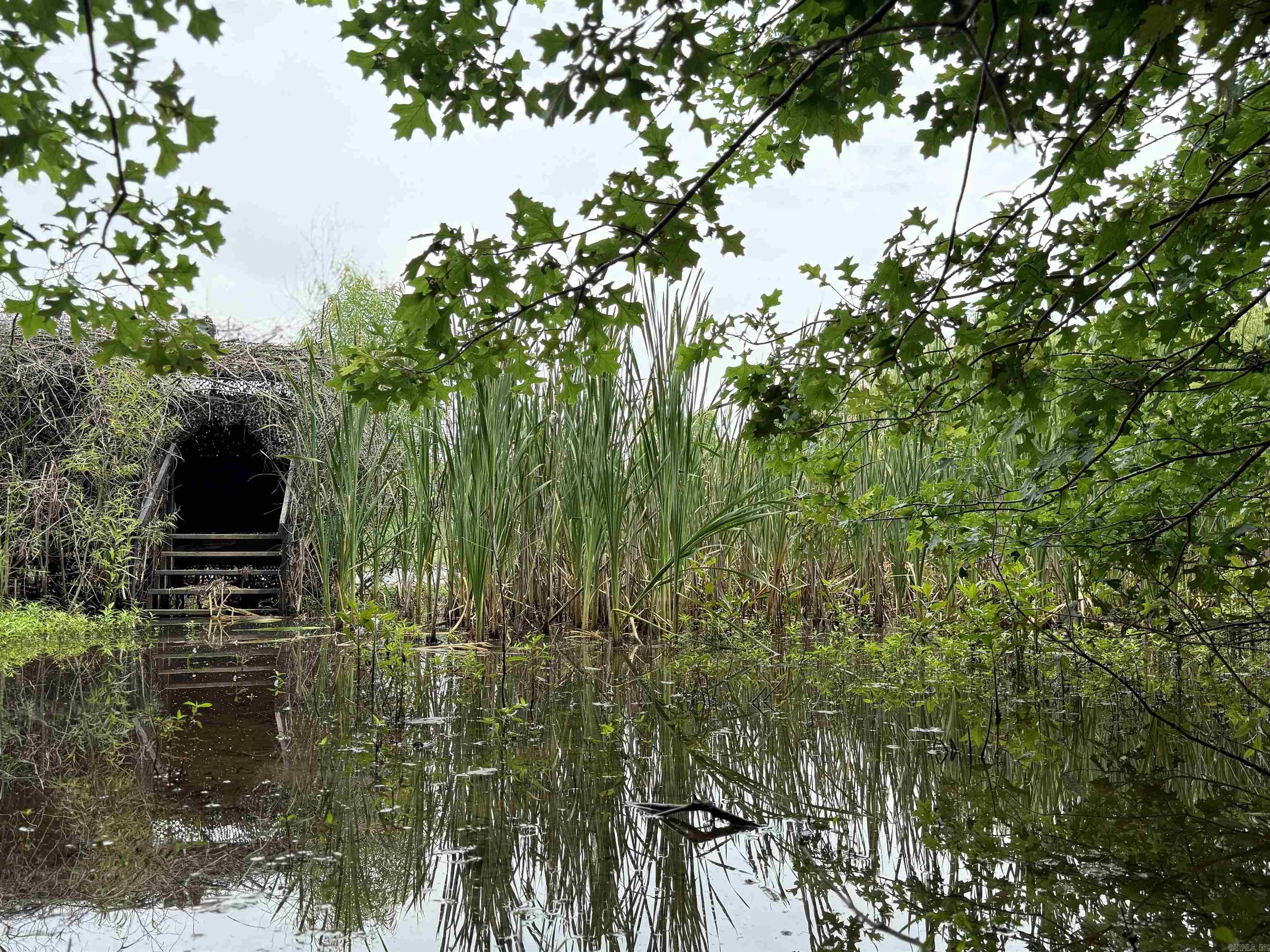 118 cloar rd  Earle, AR