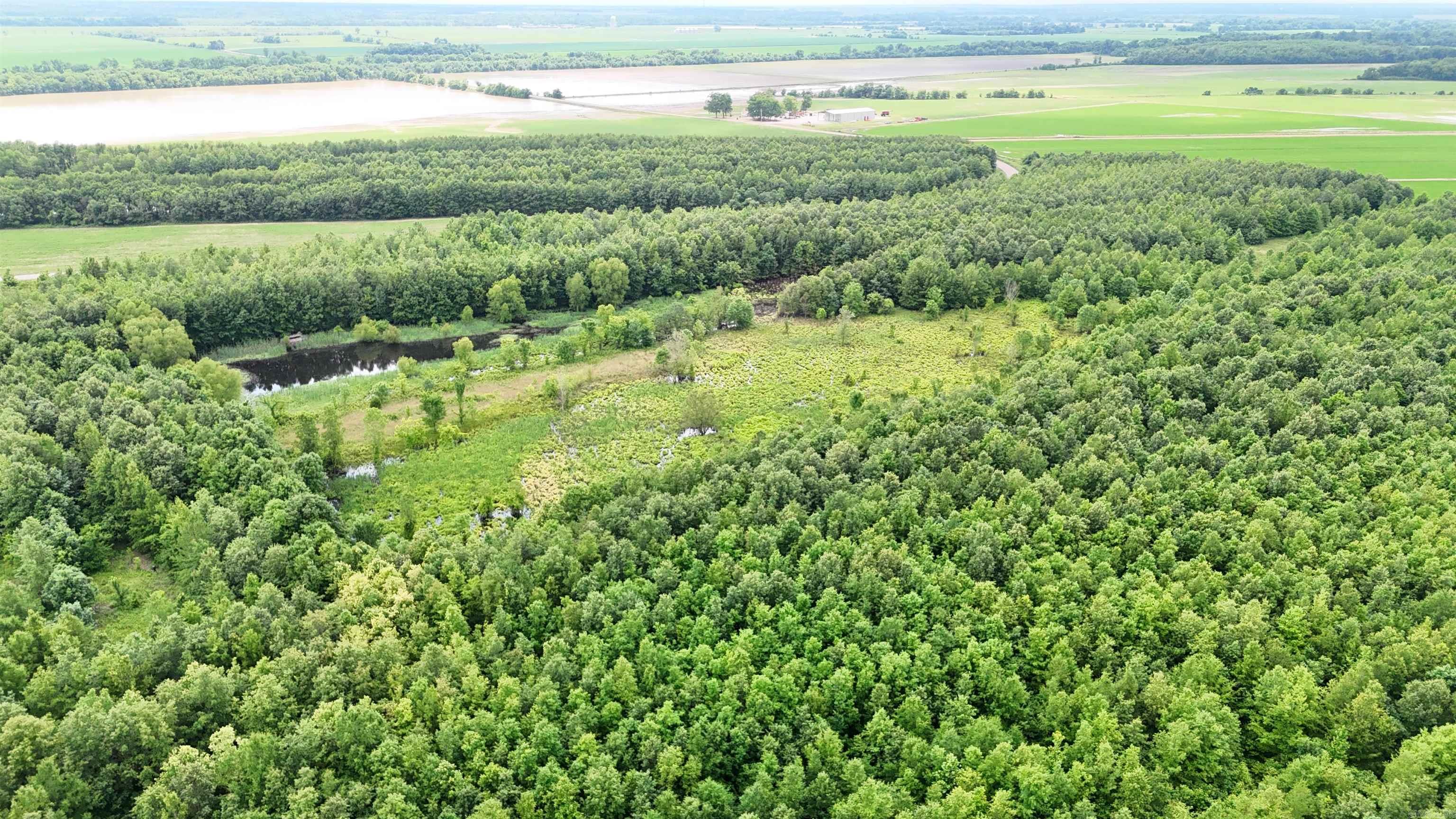 118 cloar rd  Earle, AR