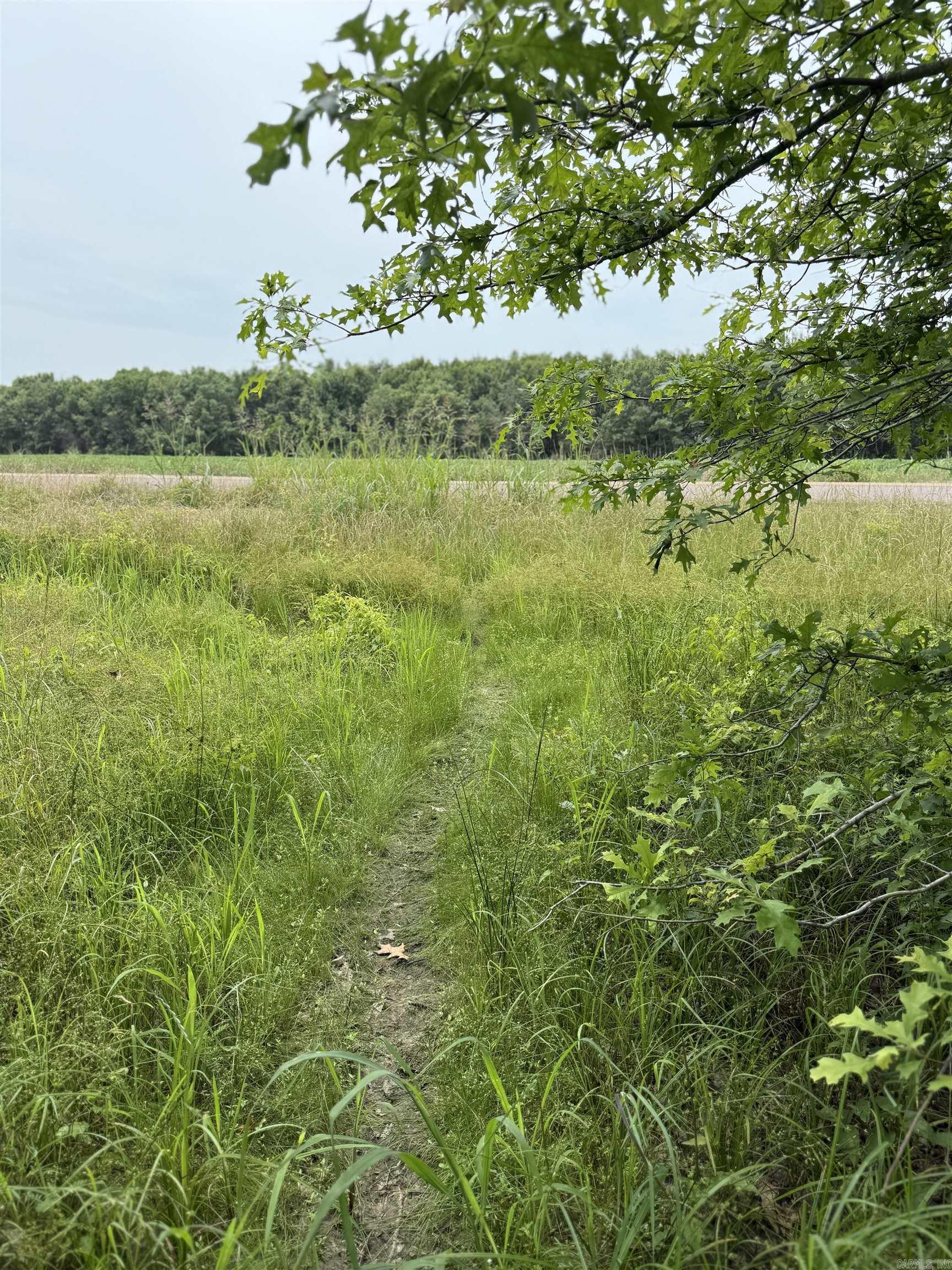 118 cloar rd  Earle, AR