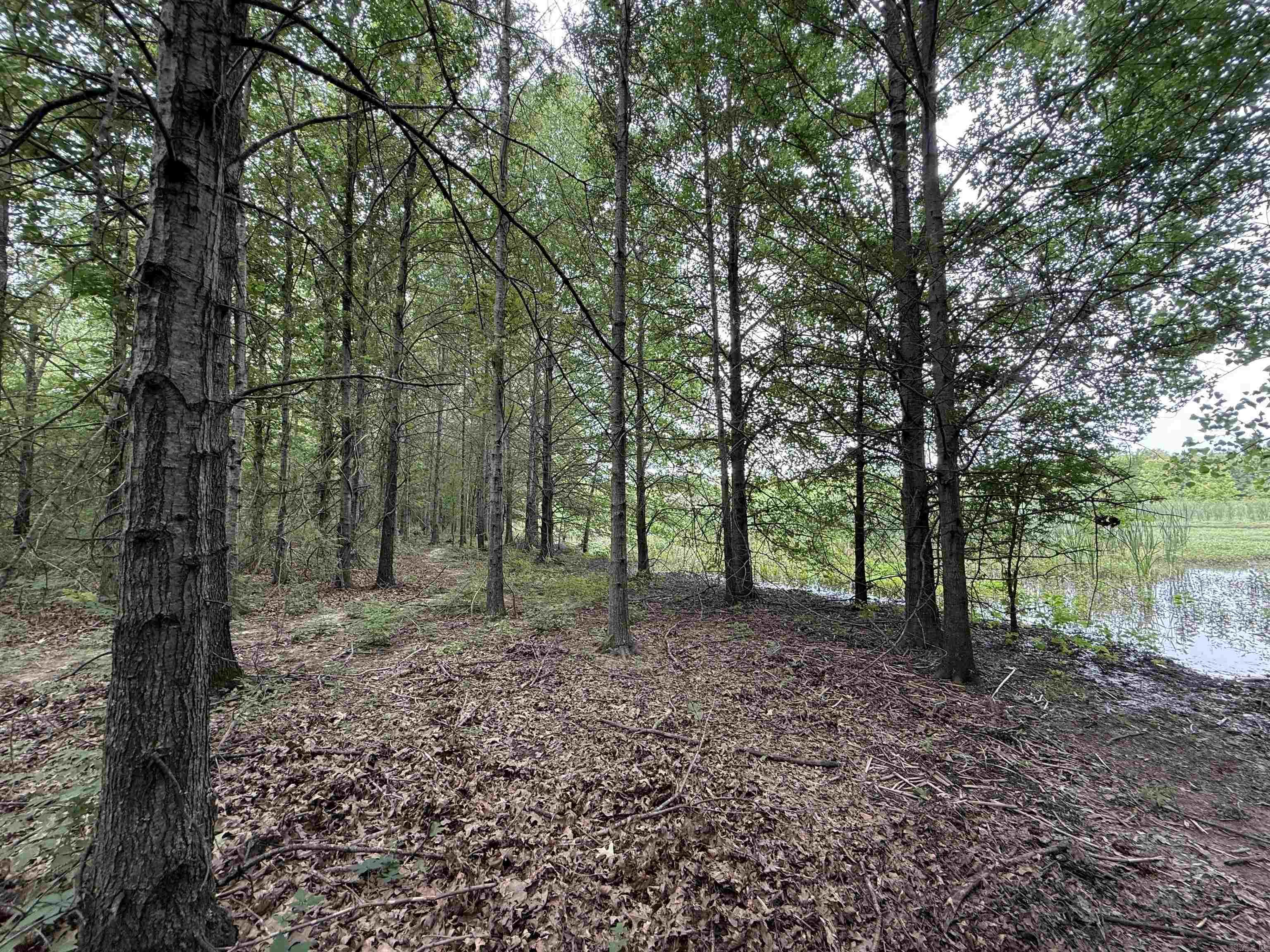 118 cloar rd  Earle, AR