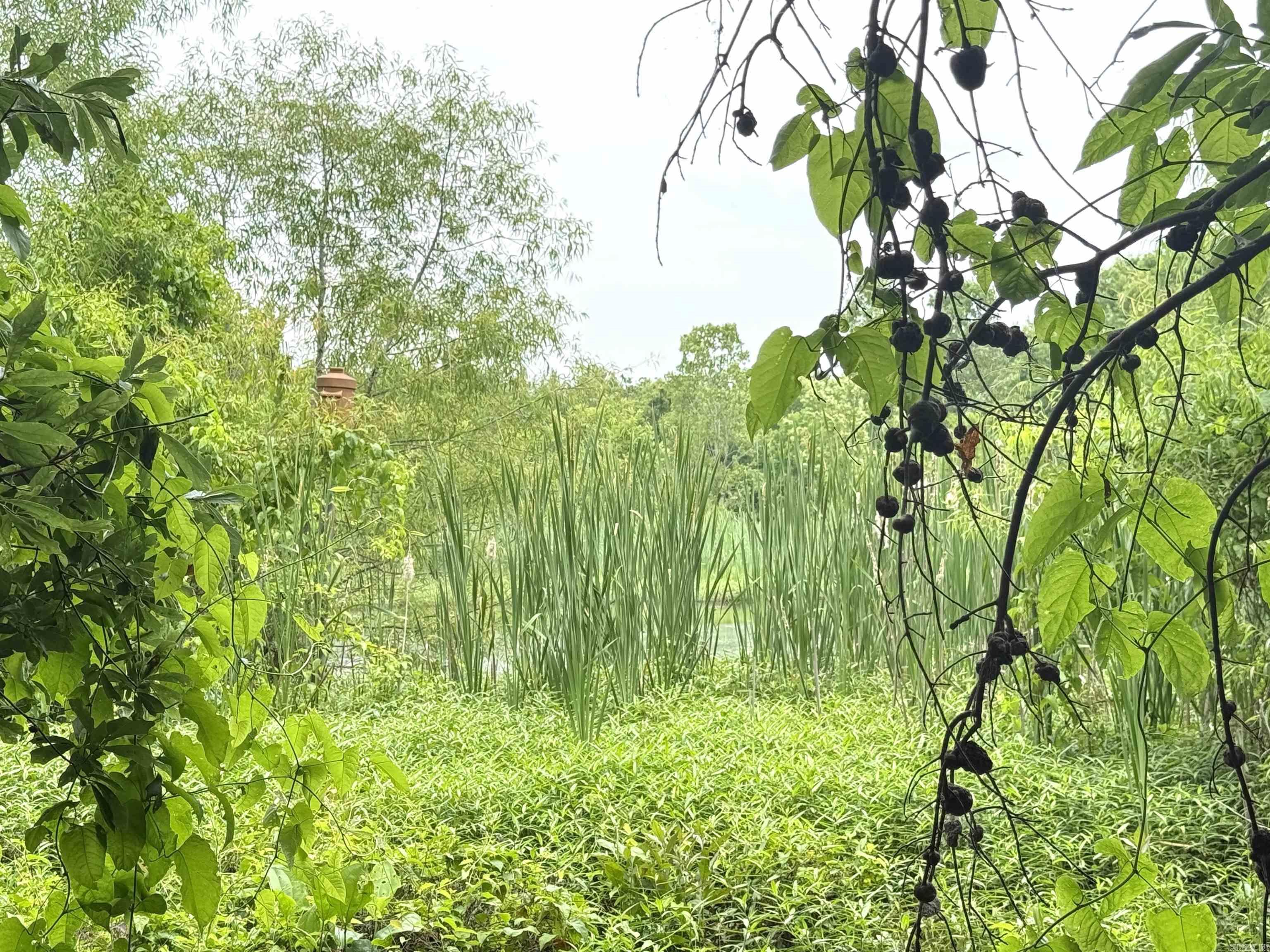 118 cloar rd  Earle, AR