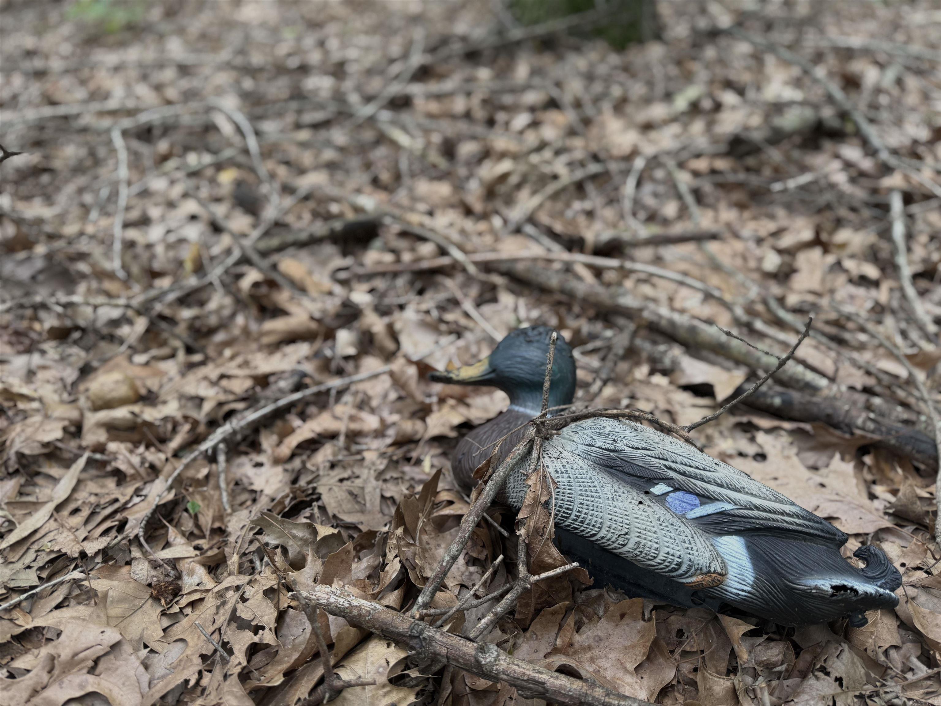 118 cloar rd  Earle, AR