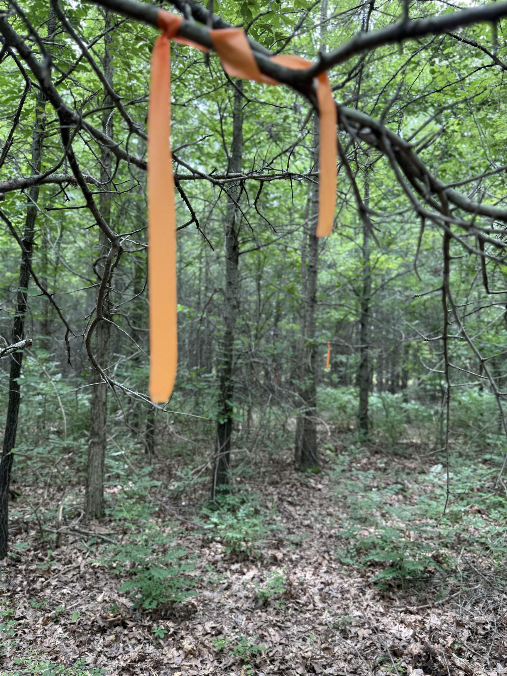 118 cloar rd  Earle, AR