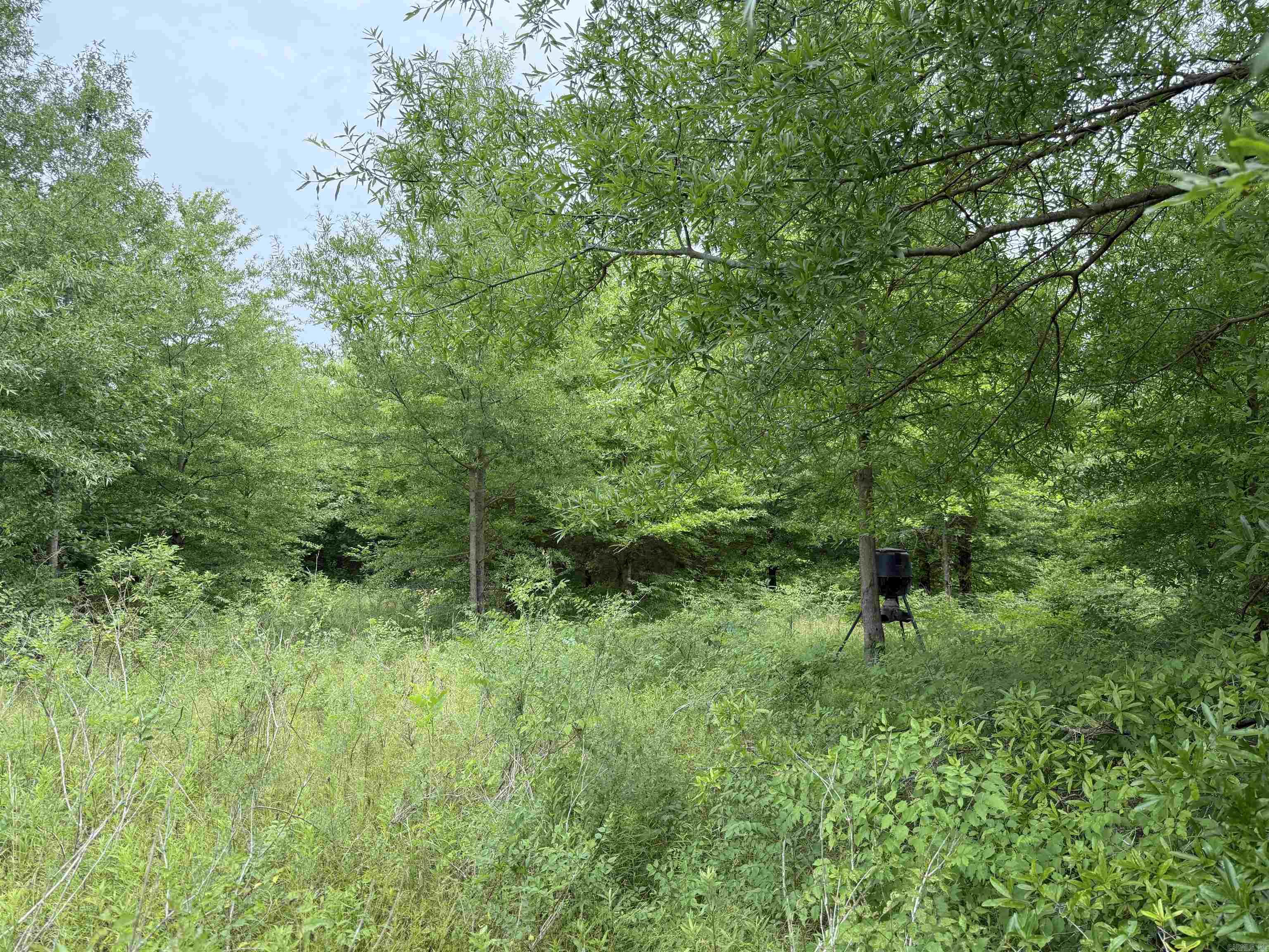 118 cloar rd  Earle, AR