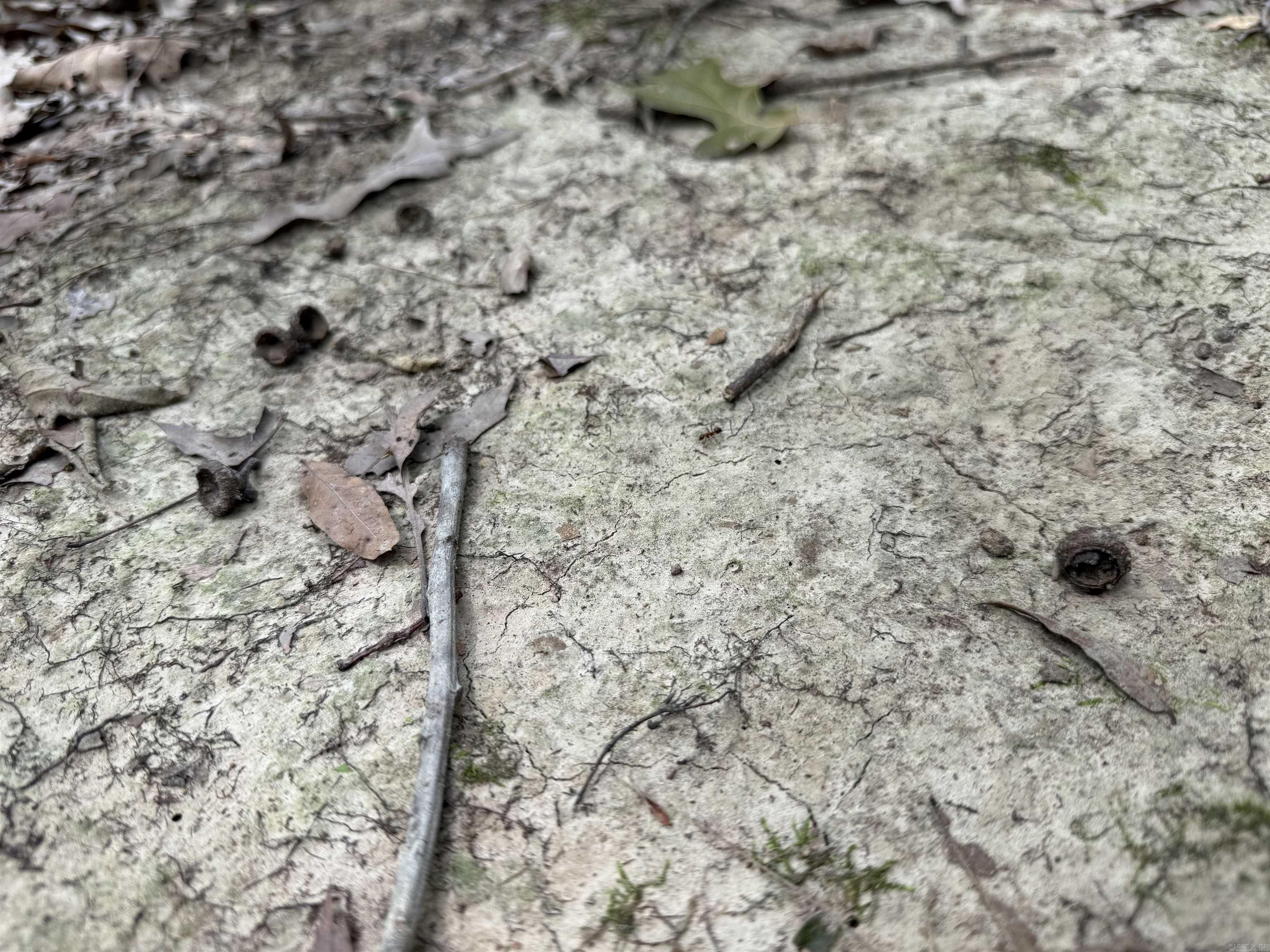 118 cloar rd  Earle, AR