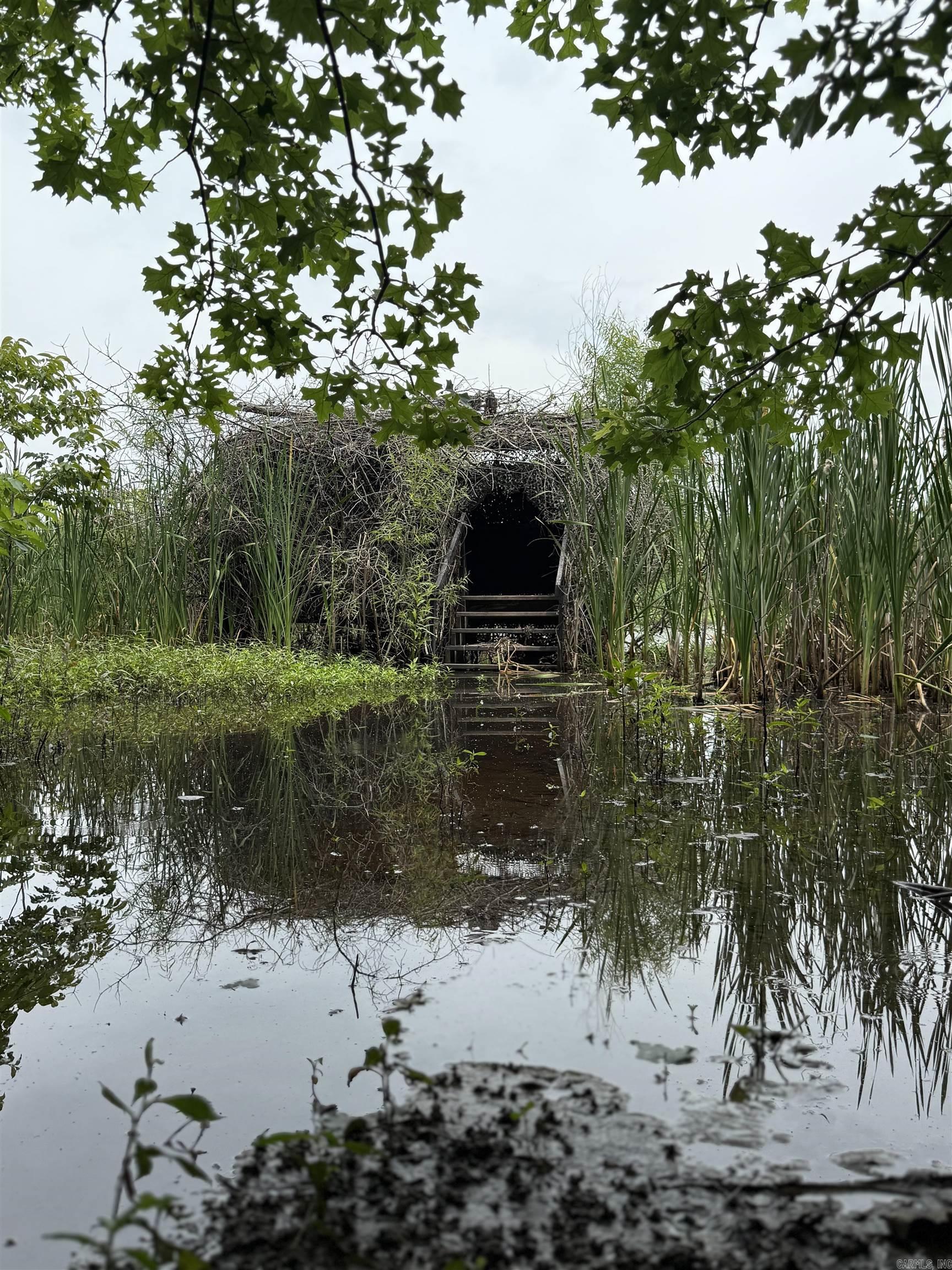 118 cloar rd  Earle, AR