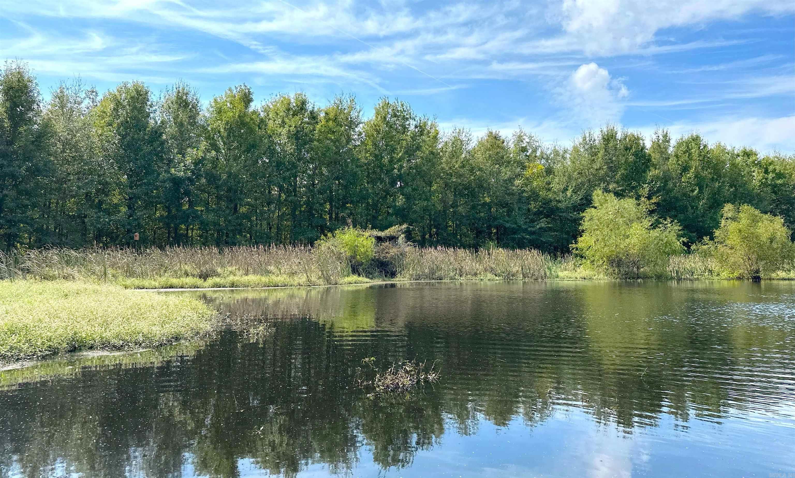 118 cloar rd  Earle, AR