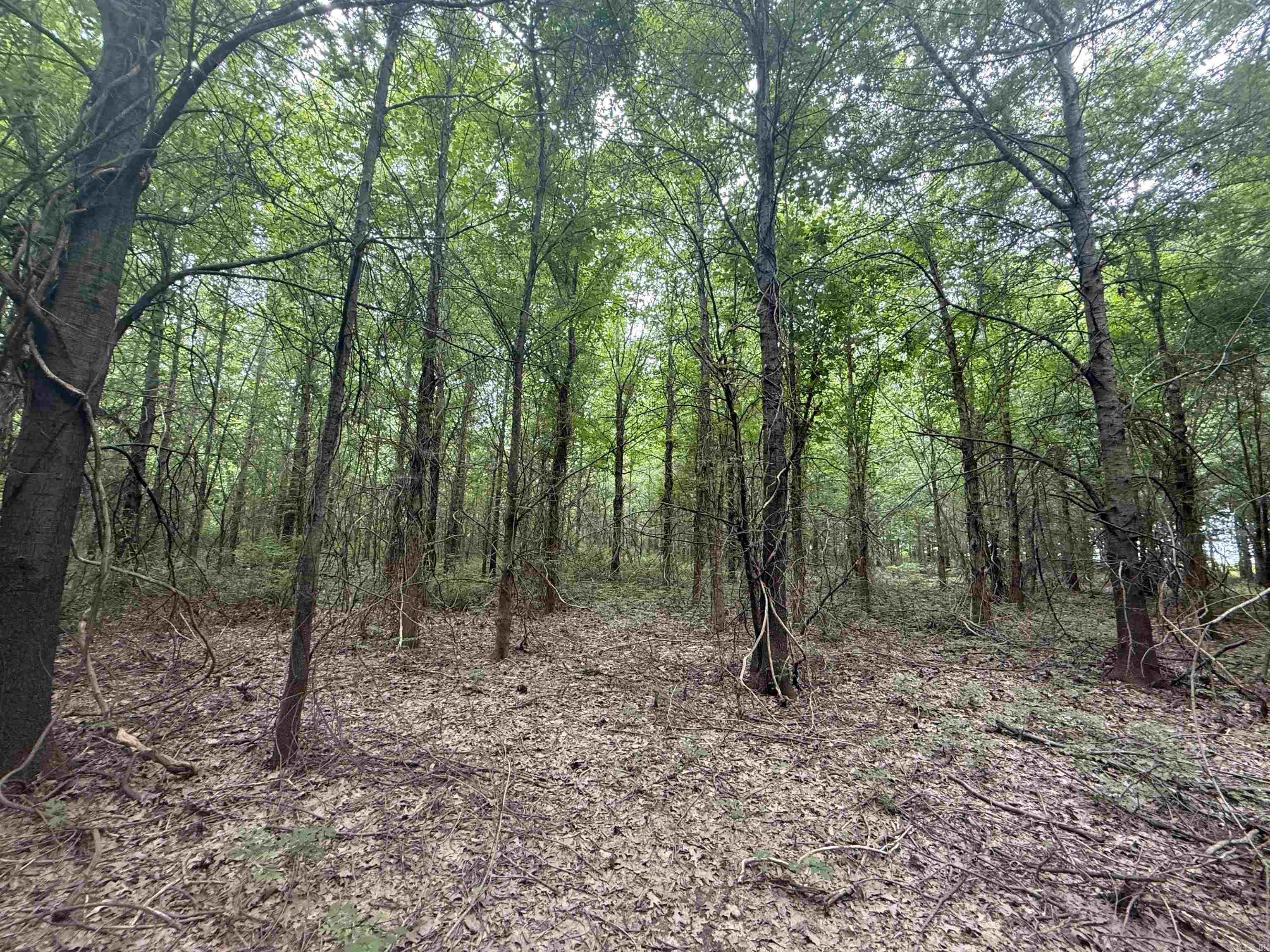 118 cloar rd  Earle, AR