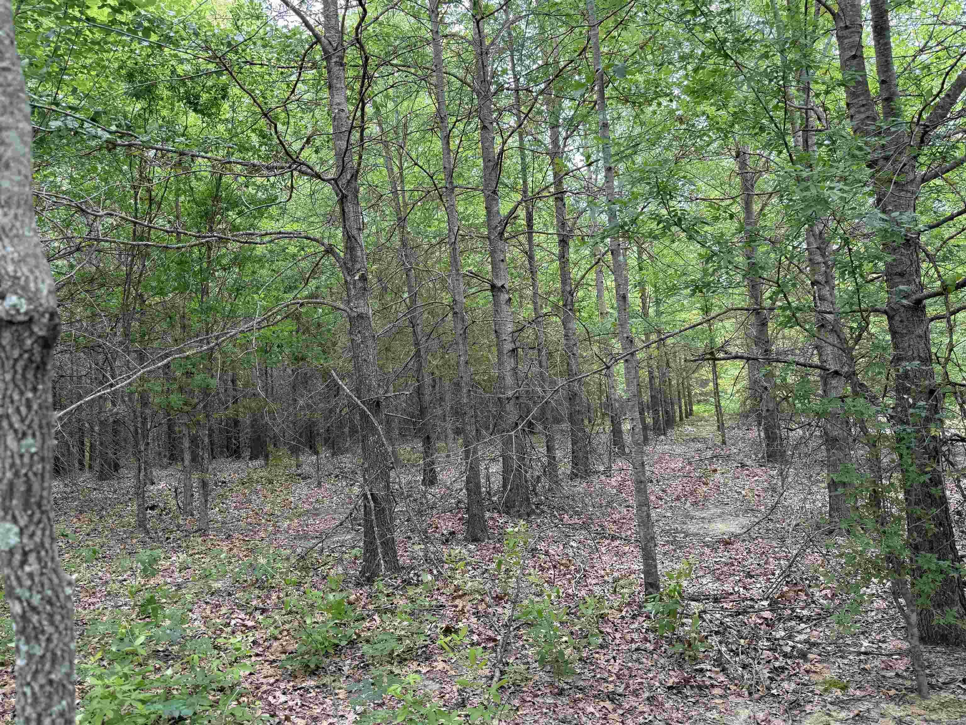 118 cloar rd  Earle, AR