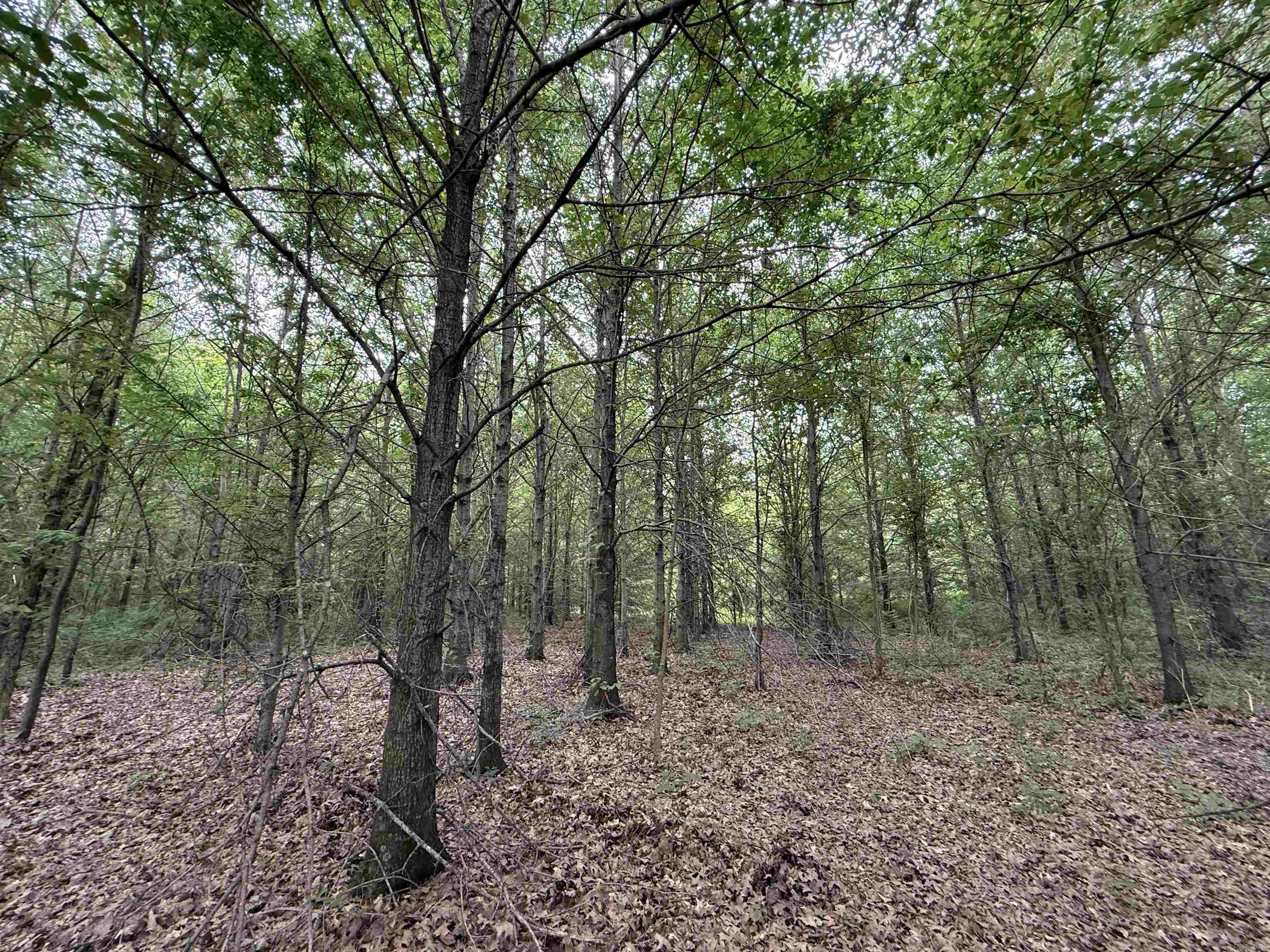 118 cloar rd  Earle, AR